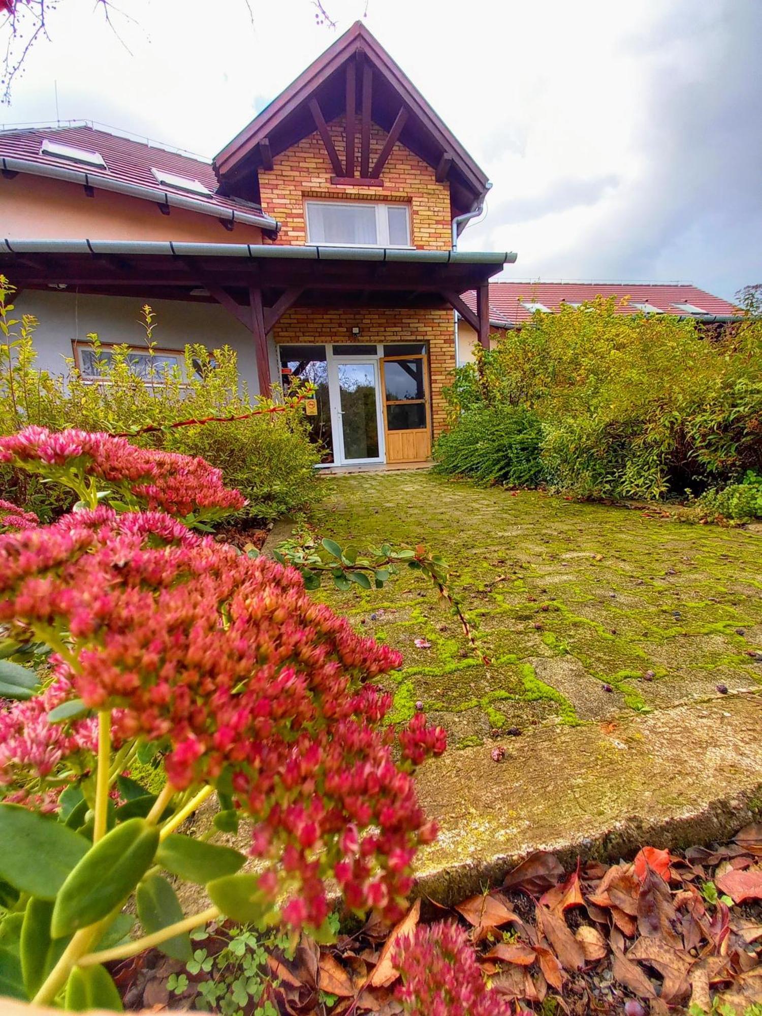 Hotel Horpacsi Europa Piheno Koezpont Exterior foto